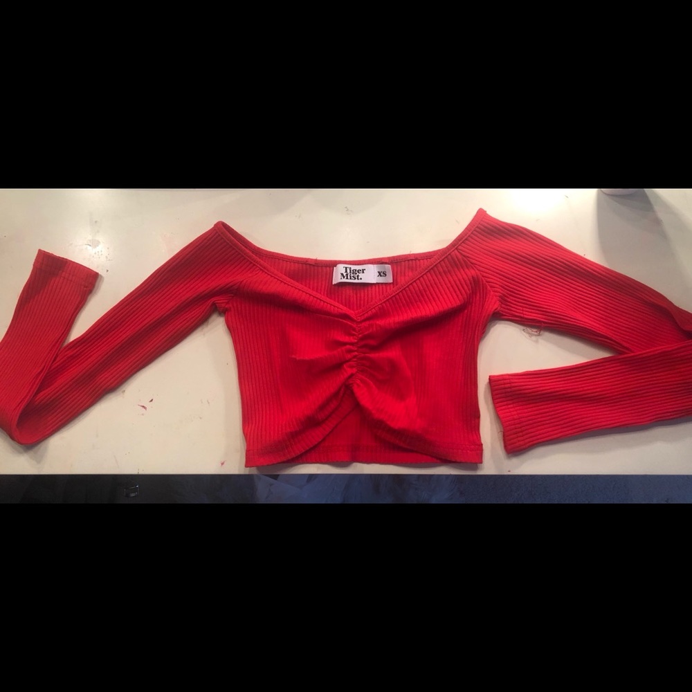 Tiger Mist ribbed long sleeve crop top